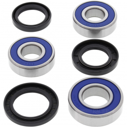 Triumph rear wheel bearing